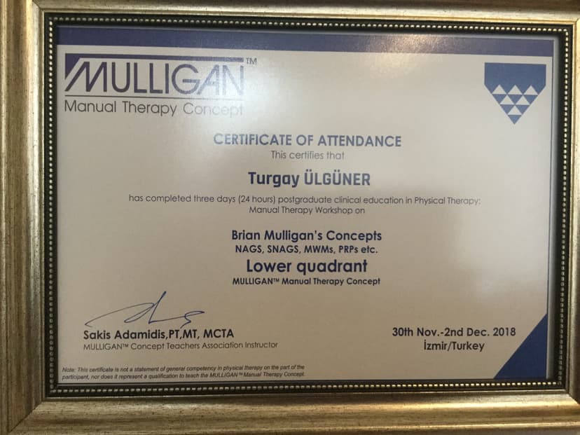 Mulligan Manuel Terapi