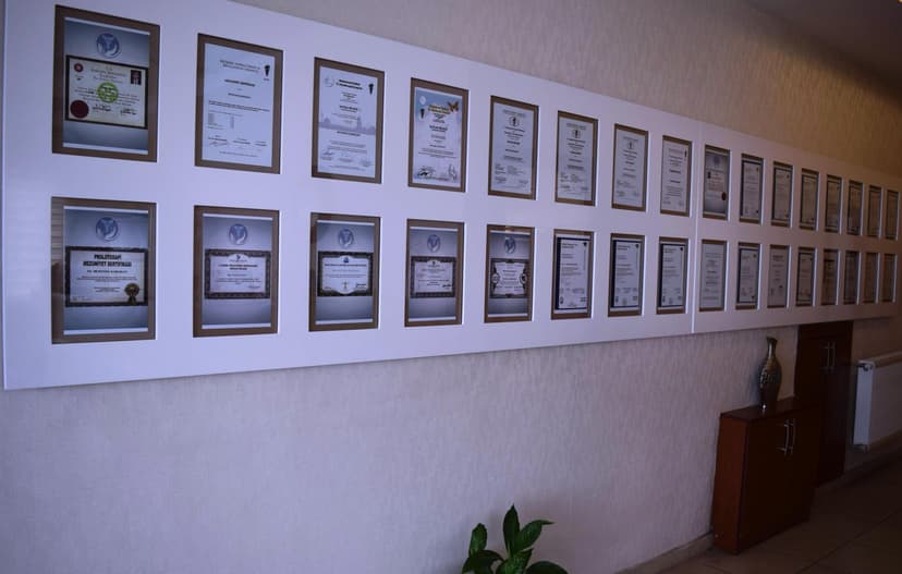 Nöralterapi Manuelterapi Ozonterapi Proloterapi