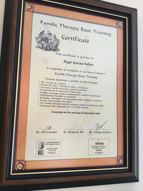 Family Therapy Basic Training