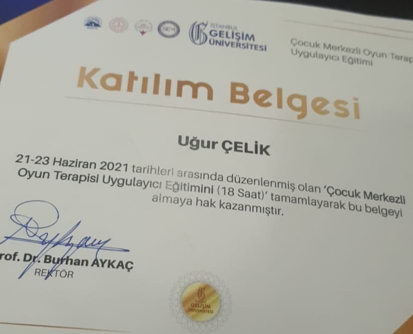 Oyun Terapisi Eğitimi