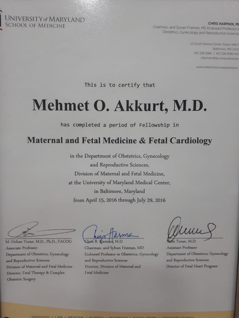 Fetal Ekokardiyografi Eğitimi Amerika.