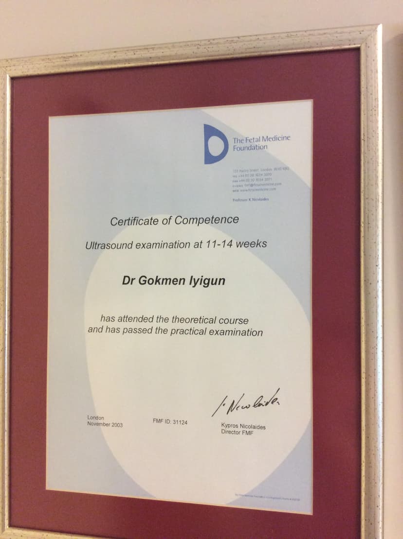 Ultrasound Examination at 11-14 Weeks