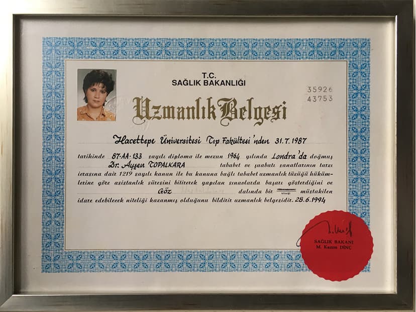 Uzmanlık Belgesi