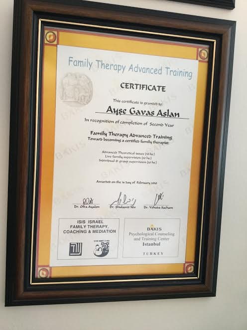 Family Therapy Advanced Training