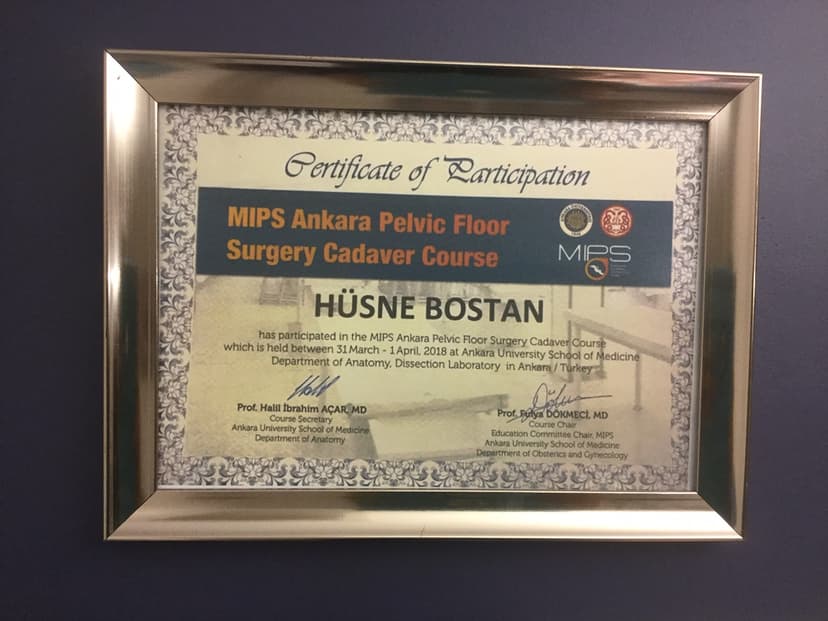 MIPS ANKARA PELVIC FLOOR SURGERY CADAVER COURSE