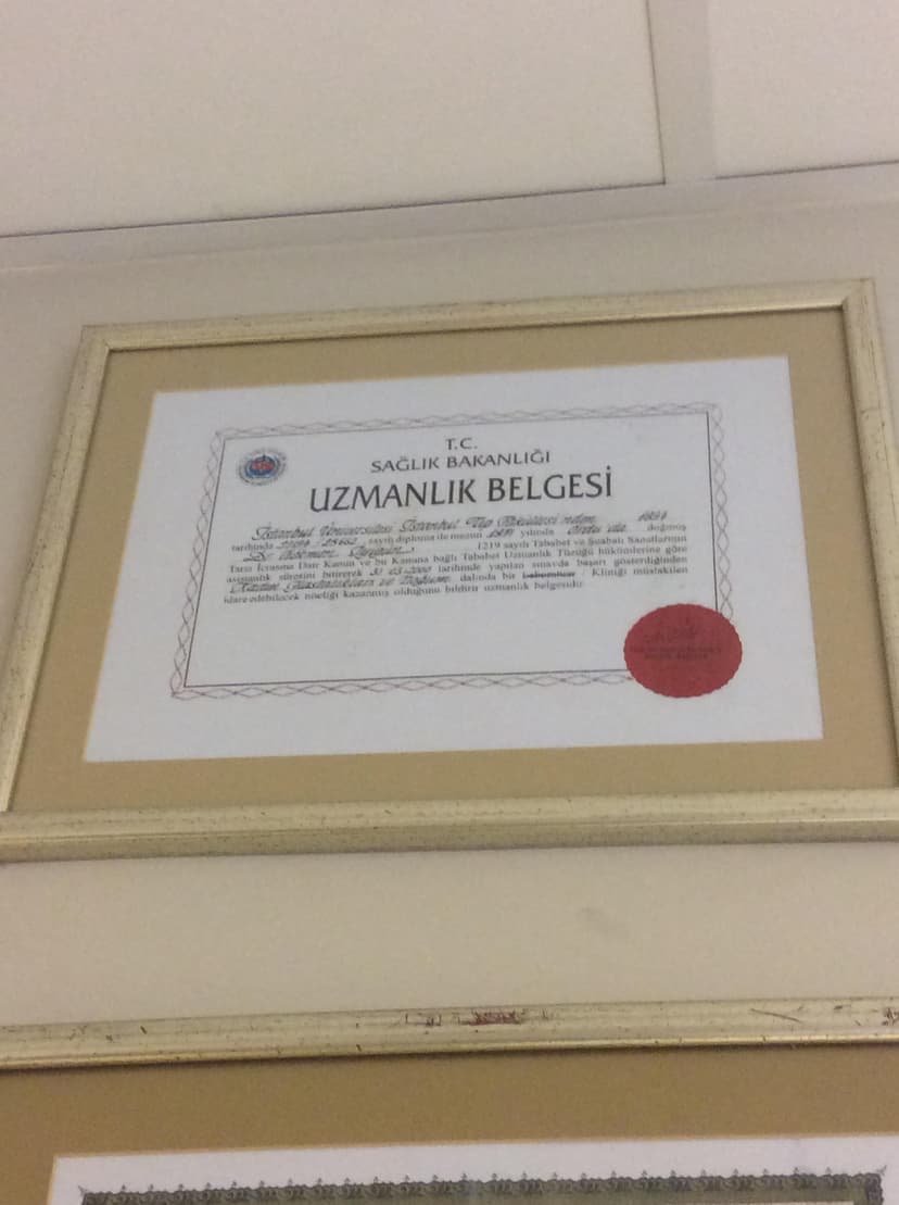 Uzmanlık Belgesi