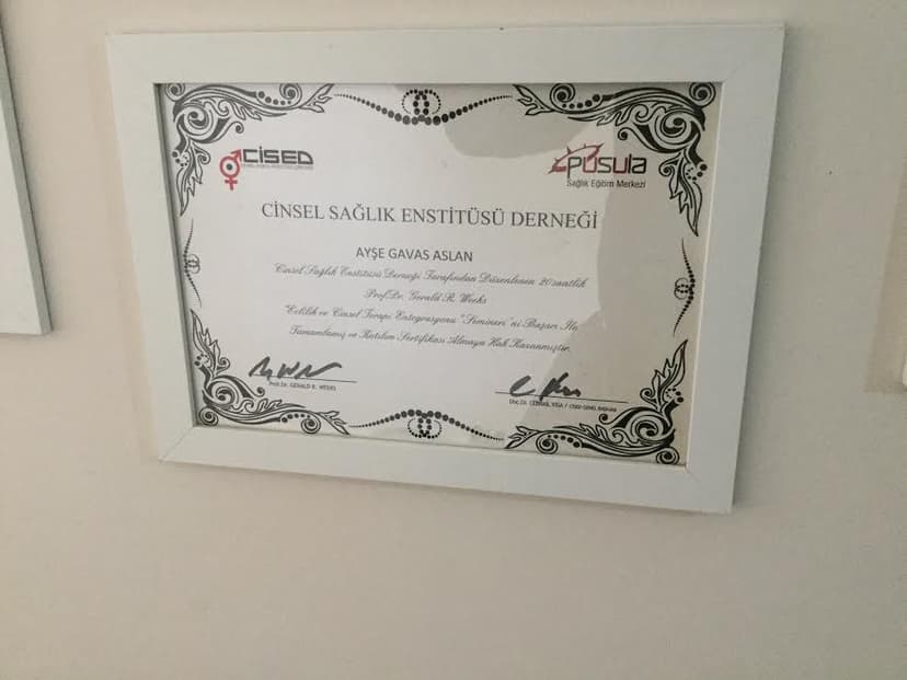 Cinsel Sağlık Enstitüsü Derneği