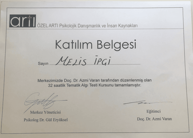 TEMATİK ALGI TESTİ