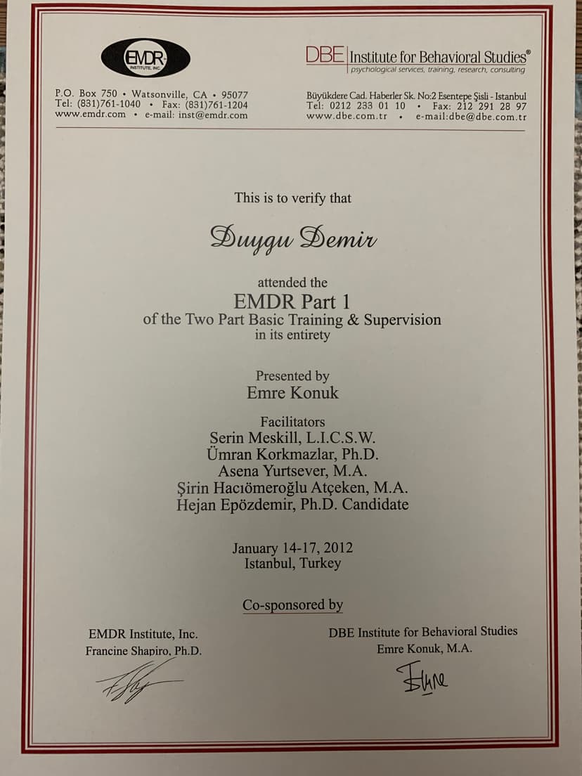 Emdr 1. Düzey
