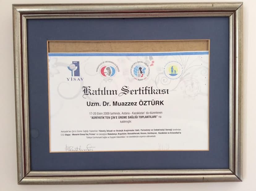 Katılım Sertifikası