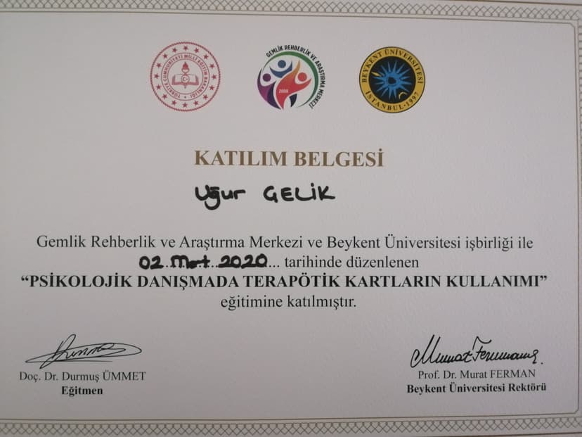 Terapötik Kartlar Eğitimi