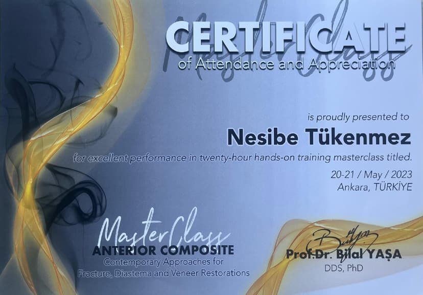 MasterClass Anterior Composite