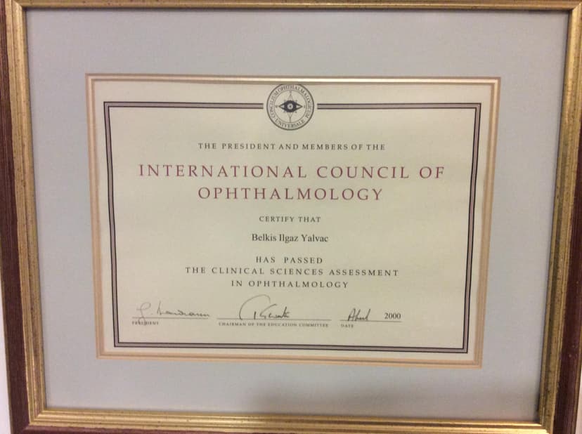 International Council of Ophthalmology