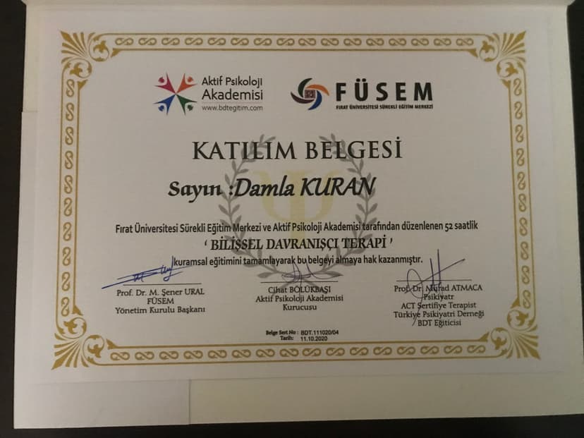 Bilişsel Davranışçı Terapi Eğitimi Sertifikası