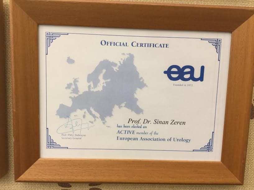 Member of the Europan Association of Urology