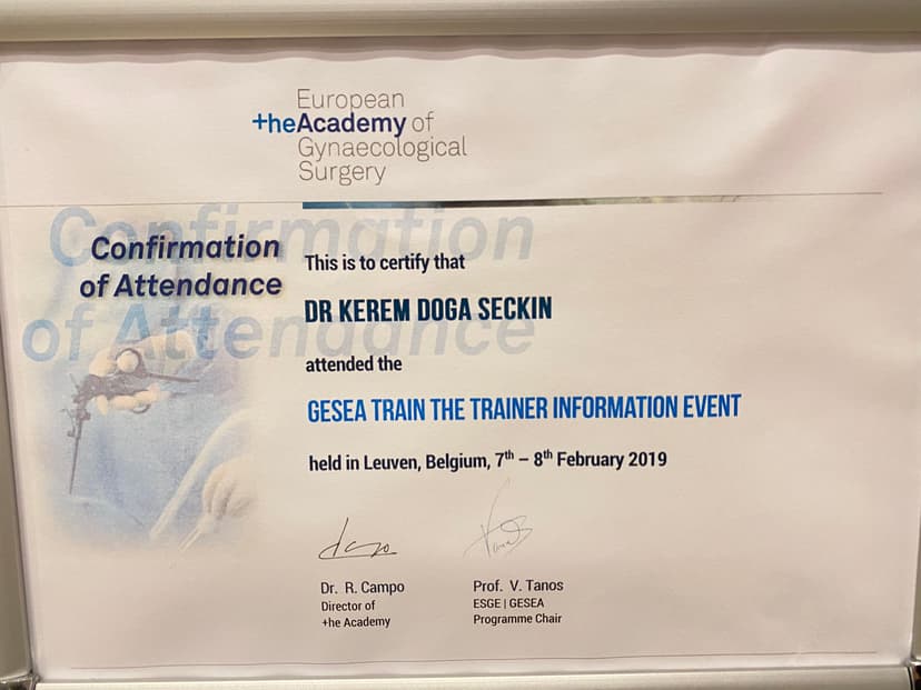 Certificate of GESEA Train the Trainer Event, Leuven, Belgium, February 2019