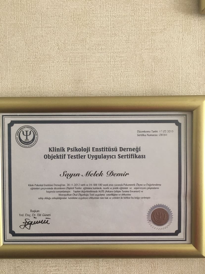 STANDFORDBİNET TEST ÖLÇEĞİ UYGULAYICISI