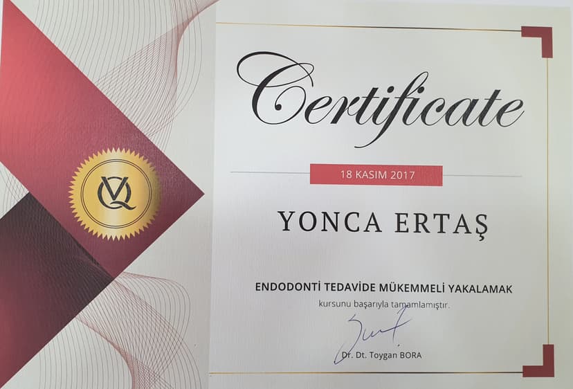 Endodonti tedavide mükemmeli yakalamak