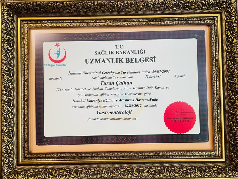 Uzmanlık Belgesi - Gastroenteroloji
