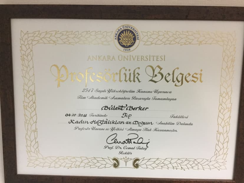 Profesörlük Belgesi