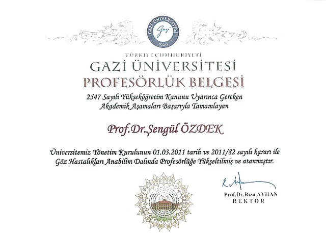 Profesörlük Belgesi