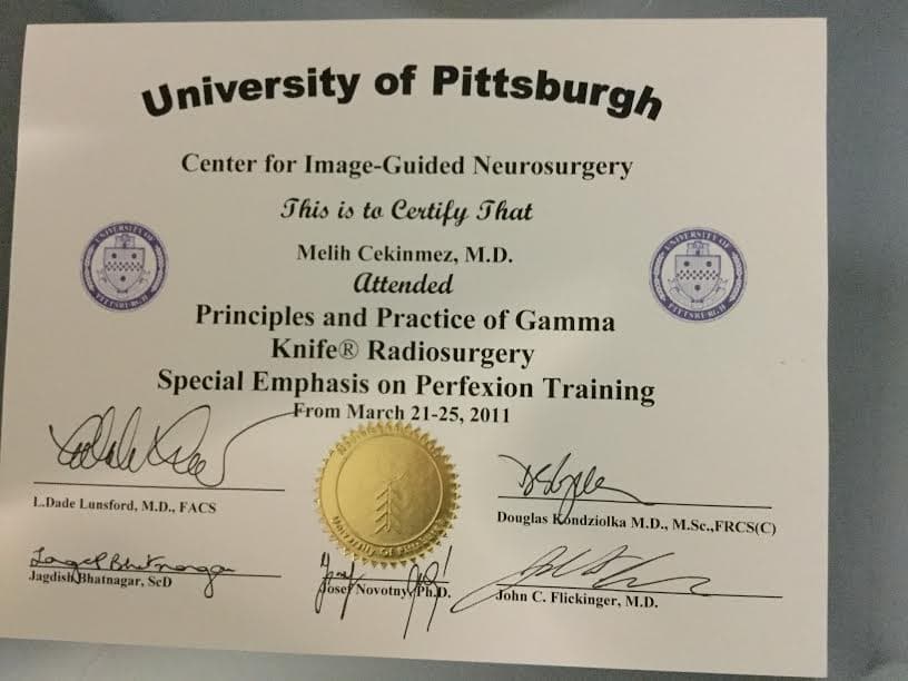 Principles and Practice of Gamma Knife Radiosurgery Special Emphasis on Perfexion Training