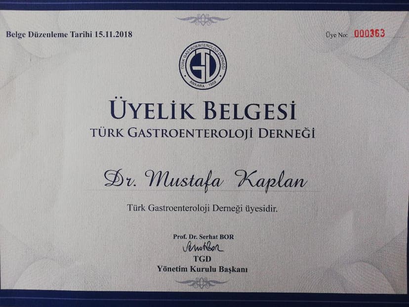 Türk gastroenteroloji derneği üyelik sertifikası