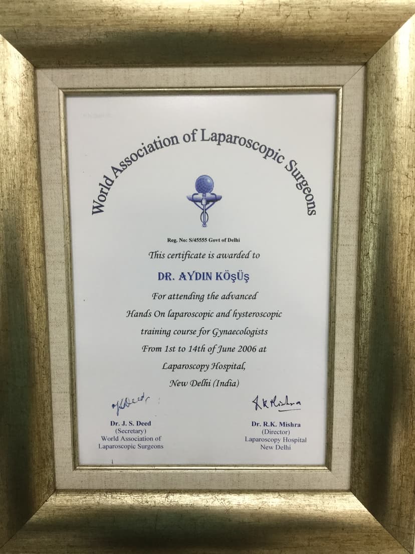 Laparoskopi Sertifikası
