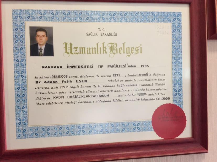 Uzmanlık Belgesi