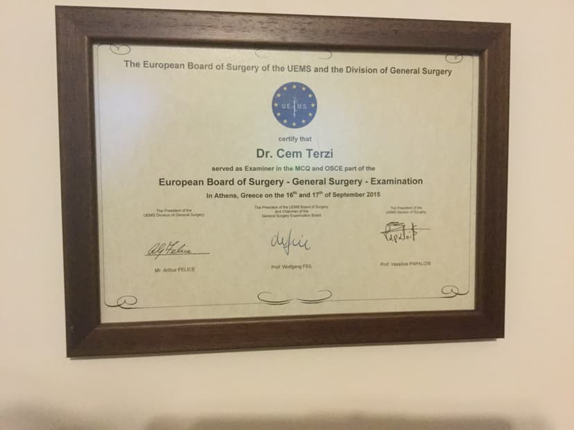 The European Board of Surgery of the UEMS and the Division of General Surgery