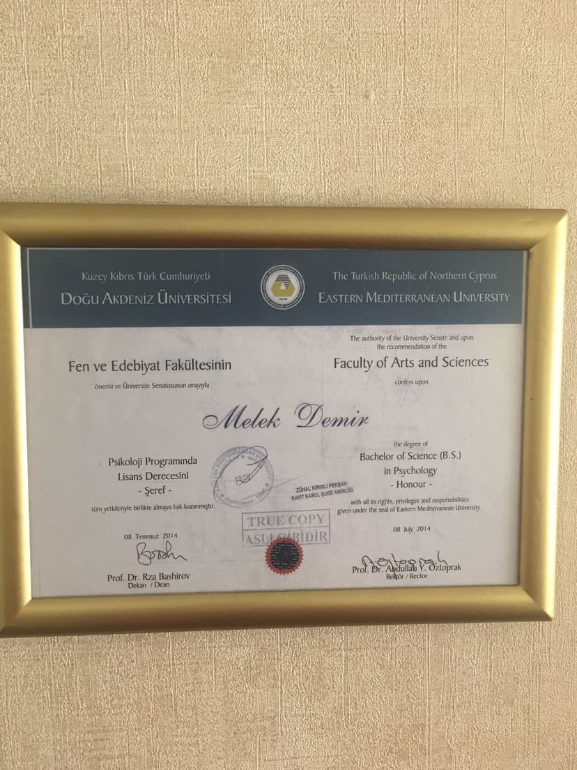 PSİKOLOJİ LİSANS ŞEREF MEZUNU