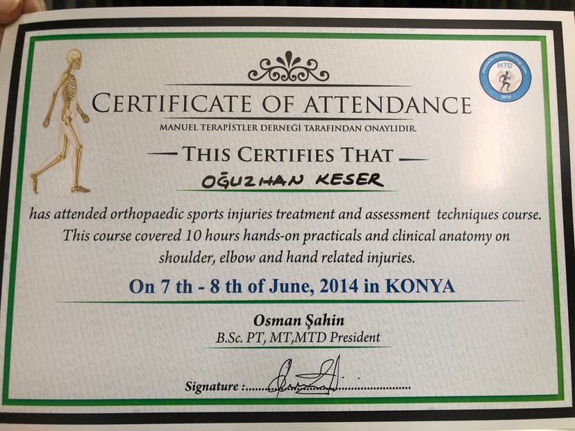 Manipülasyon-mobilizasyon