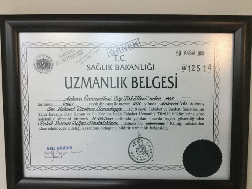 Uzmanlık Belgesi