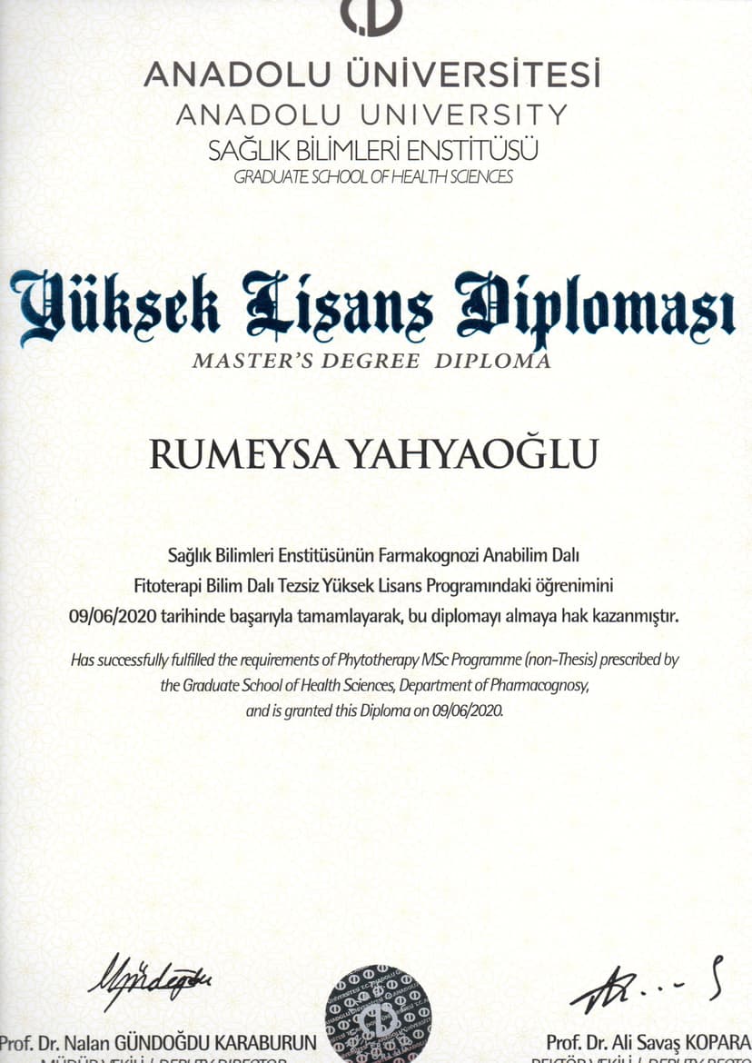Yüksek Lisans Diploması