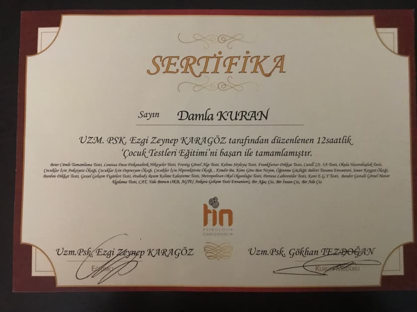 Çocuk Testleri Eğitimi Sertifikası
