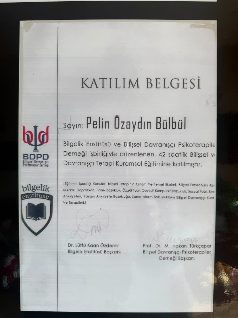 sertifika