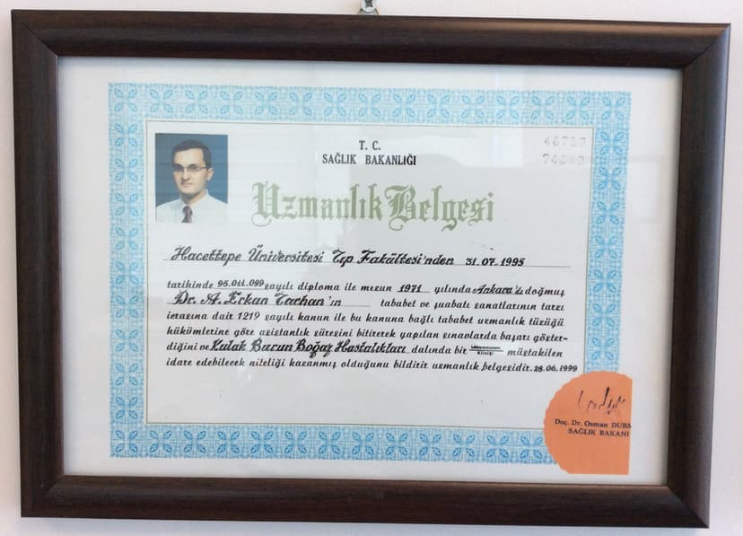 Uzmanlık Belgesi