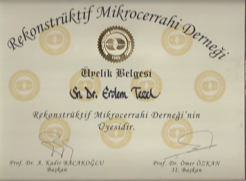 Rekonstrüktif Mikrocerrahi Derneği üyelik belgesi