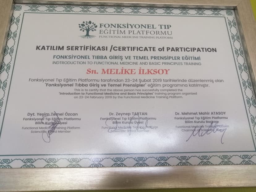 FONKSİYONEL TIBBA GİRİŞ VE TEMEL PRENSİPLER EĞİTİMİ