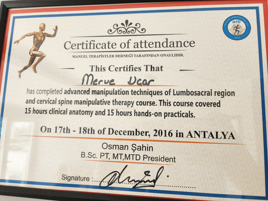 MANUEL TERAPİSTLER DERNEĞİ