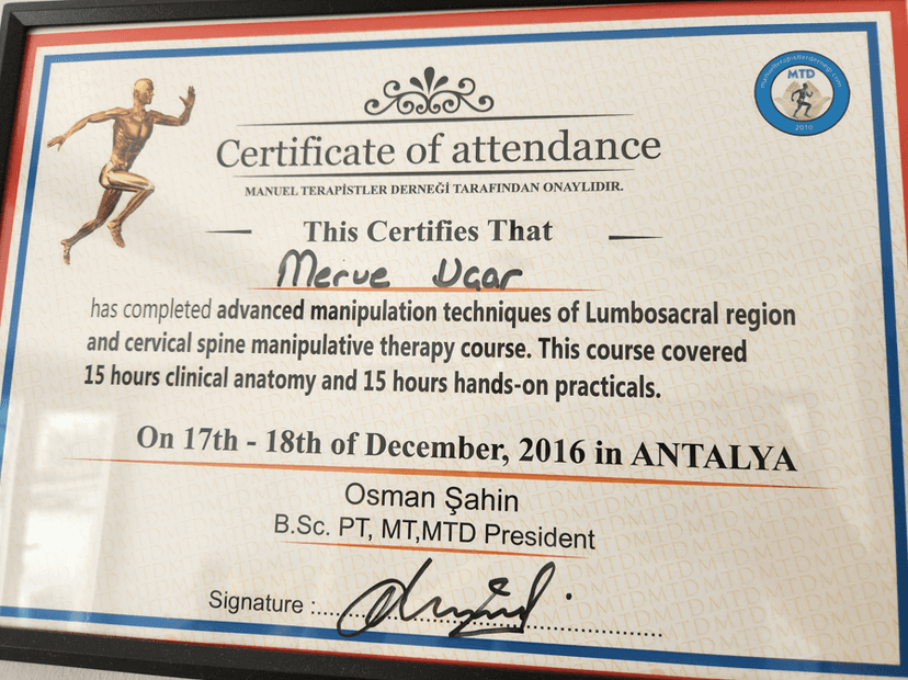 MANUEL TERAPİSTLER DERNEĞİ