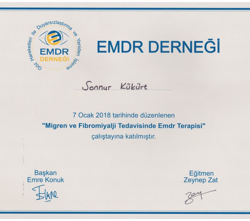 Migren ve Fibromiyalji Tedavisinde EMDR Terapisi