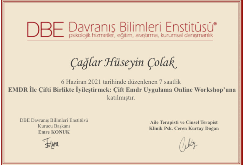 EMDR İle Çift Birlikte İyileştirmek. Çift EMDR Uygulama Online Workshop'una