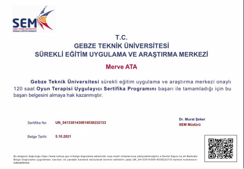 Oyun terapisi sertifikası