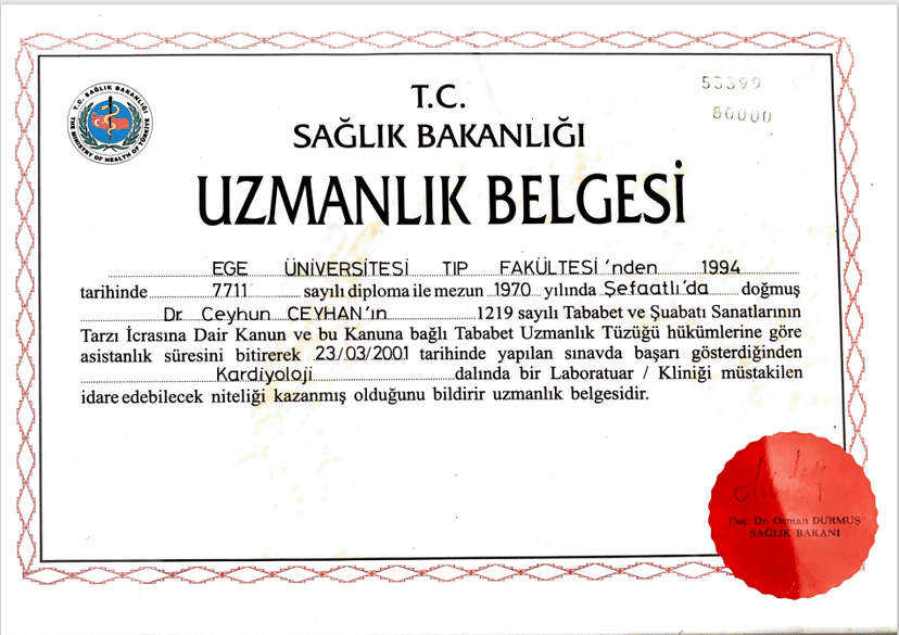 Uzmanlık Belgesi