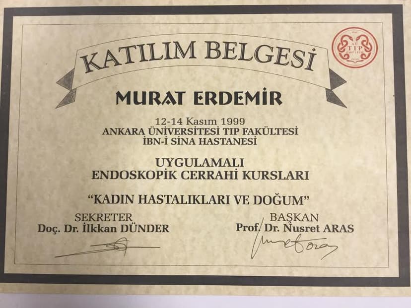 Katılım Belgesi