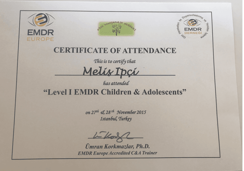 LEVEL I EMDR CHILDREN . ADOLESCENTS