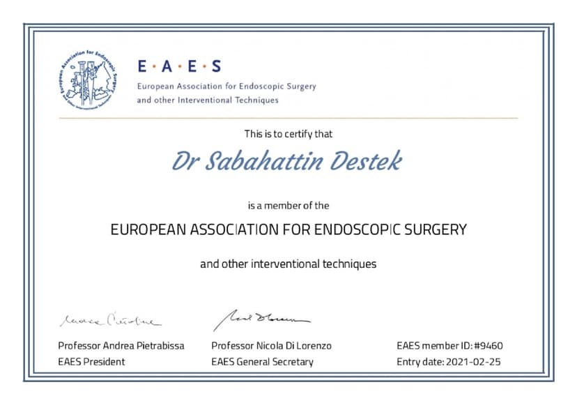 "European Association for Endoscopic Surgery" (Avrupa Endoskopik Cerrahi Derneği)