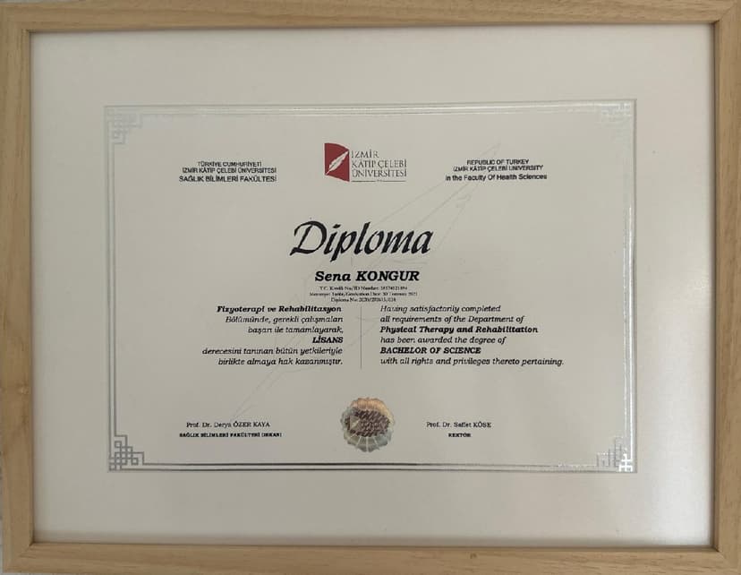 Sertifika