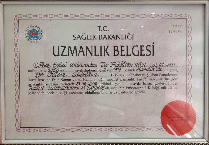 Uzmanlık Belgesi